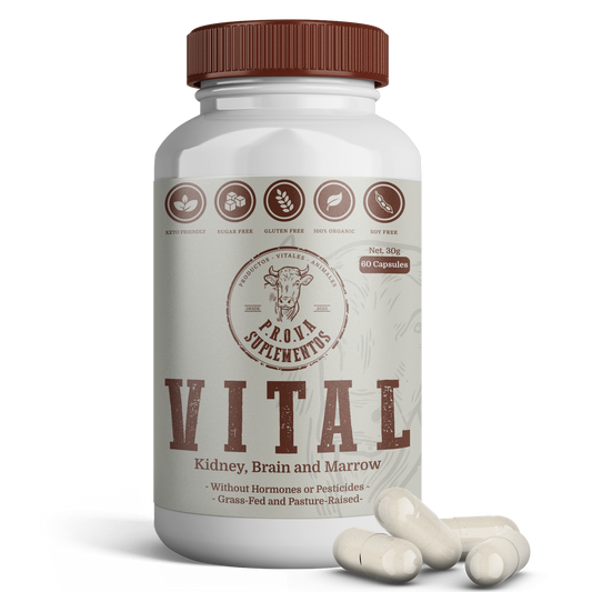 VITAL - Riñón, Sesos y Tuetano Deshidratado