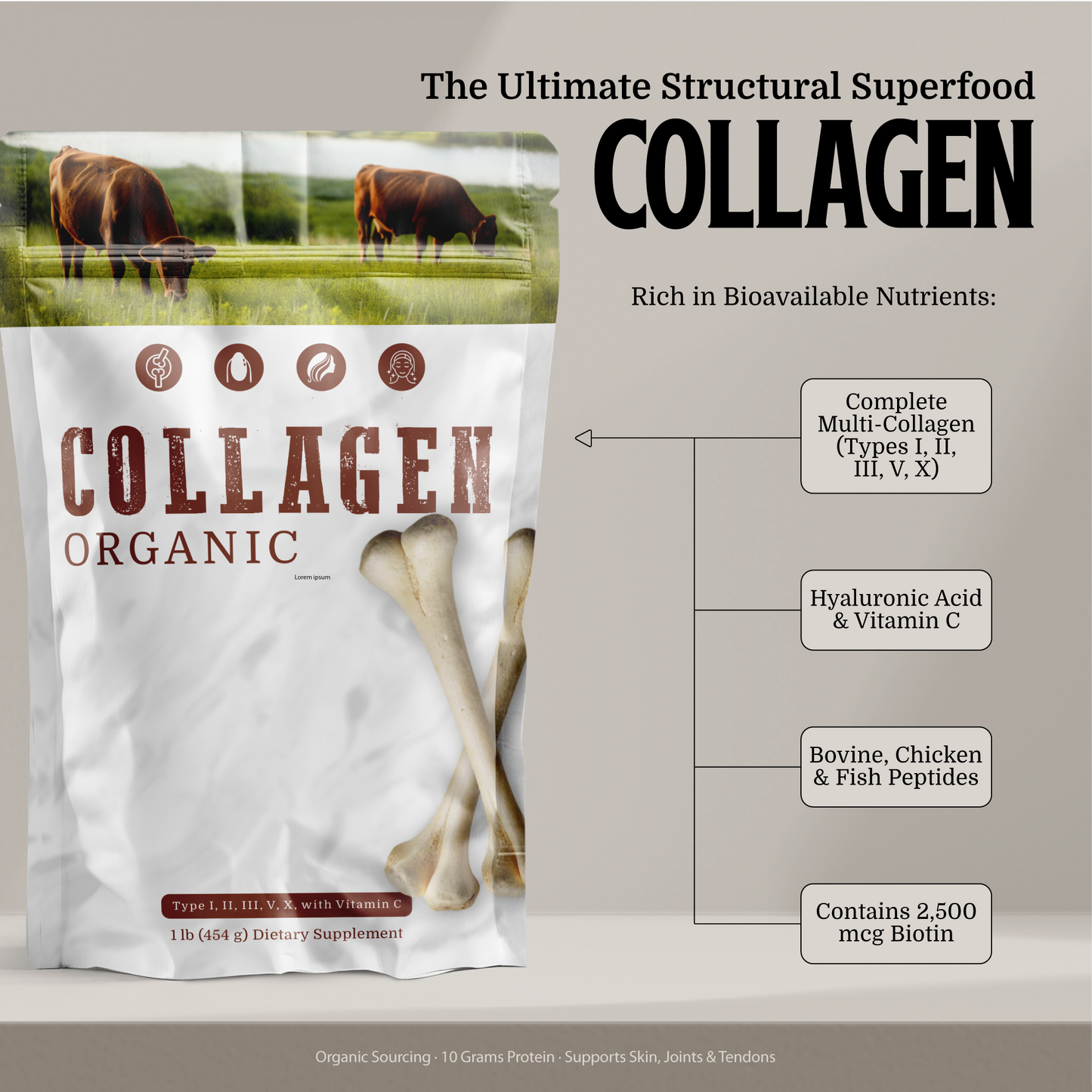 COLAGENO - Tipo I, II, III, V, y X