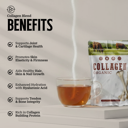 COLAGENO - Tipo I, II, III, V, y X