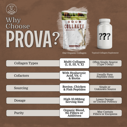 COLAGENO - Tipo I, II, III, V, y X