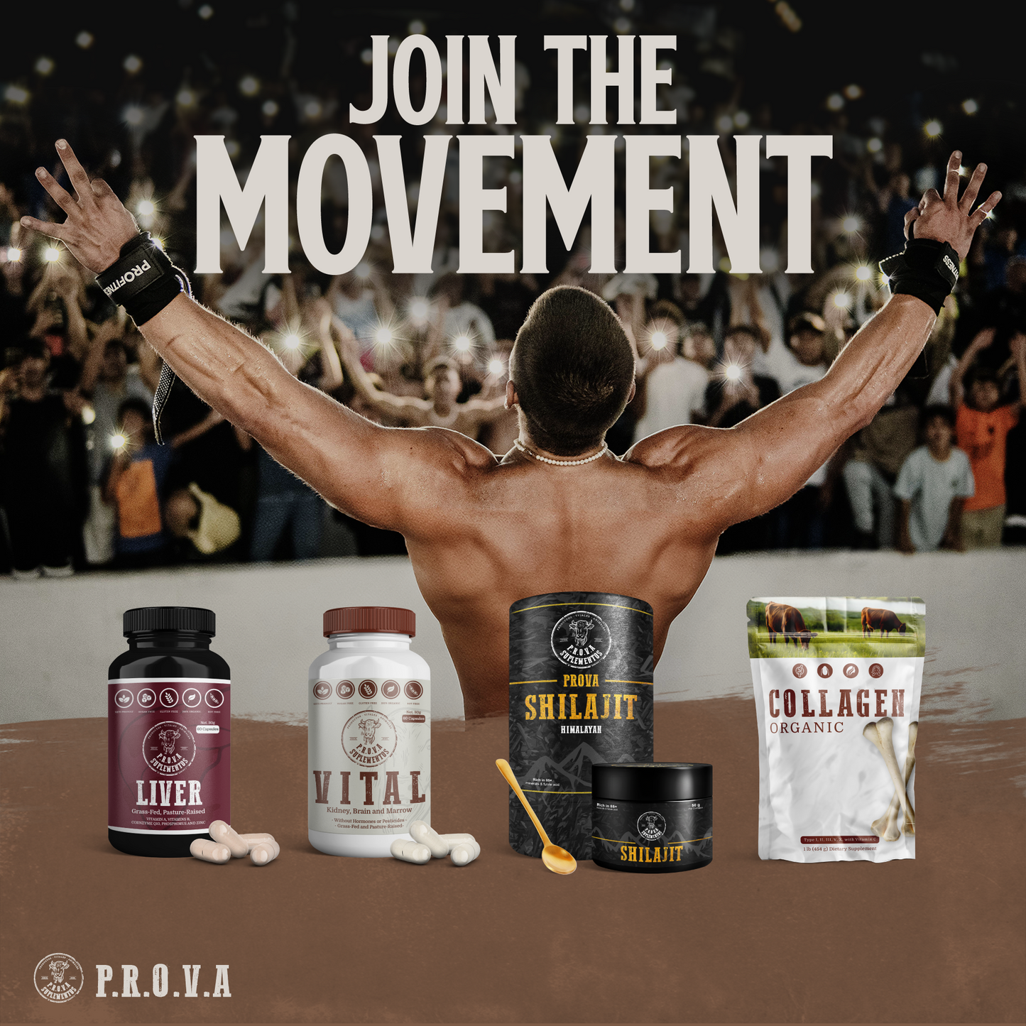 COLAGENO - Tipo I, II, III, V, y X