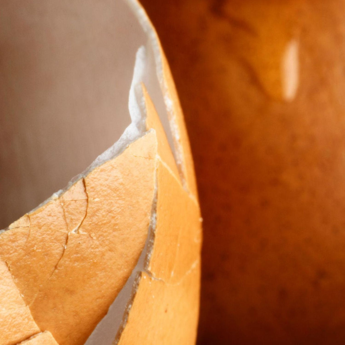 Colágeno de origen de membrana de huevo
