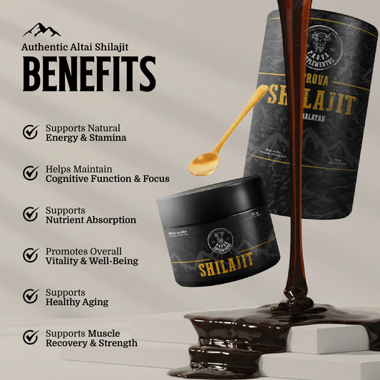 SHILAJIT - Resina del Himalaya