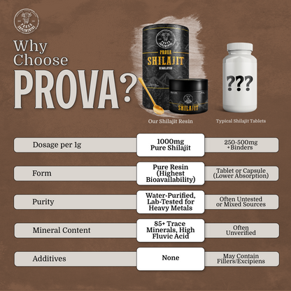 SHILAJIT - Resina del Himalaya