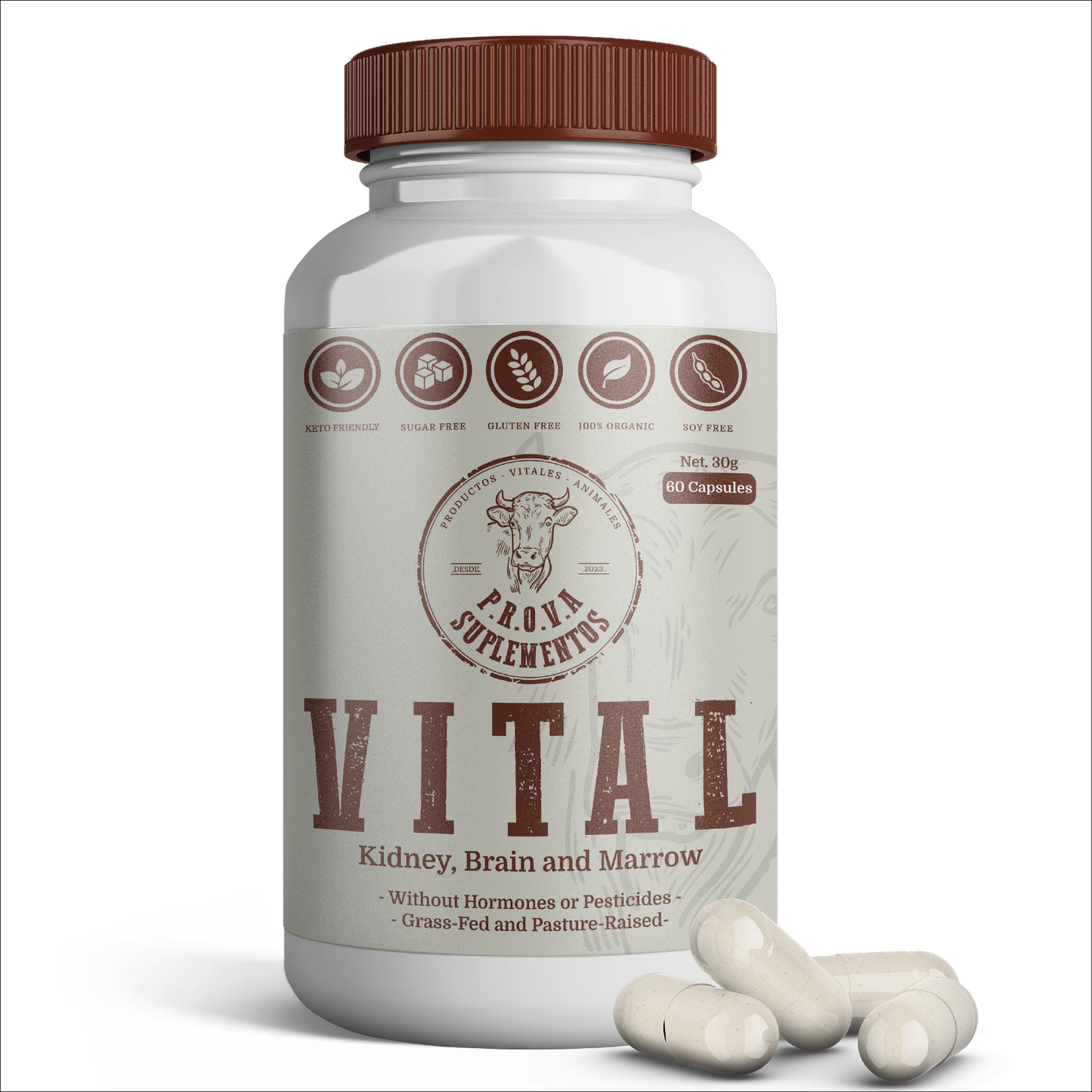 VITAL - Riñón, Sesos y Tuetano