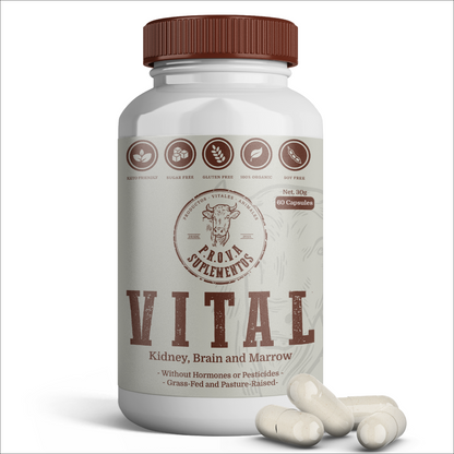 VITAL - Riñón, Sesos y Tuetano