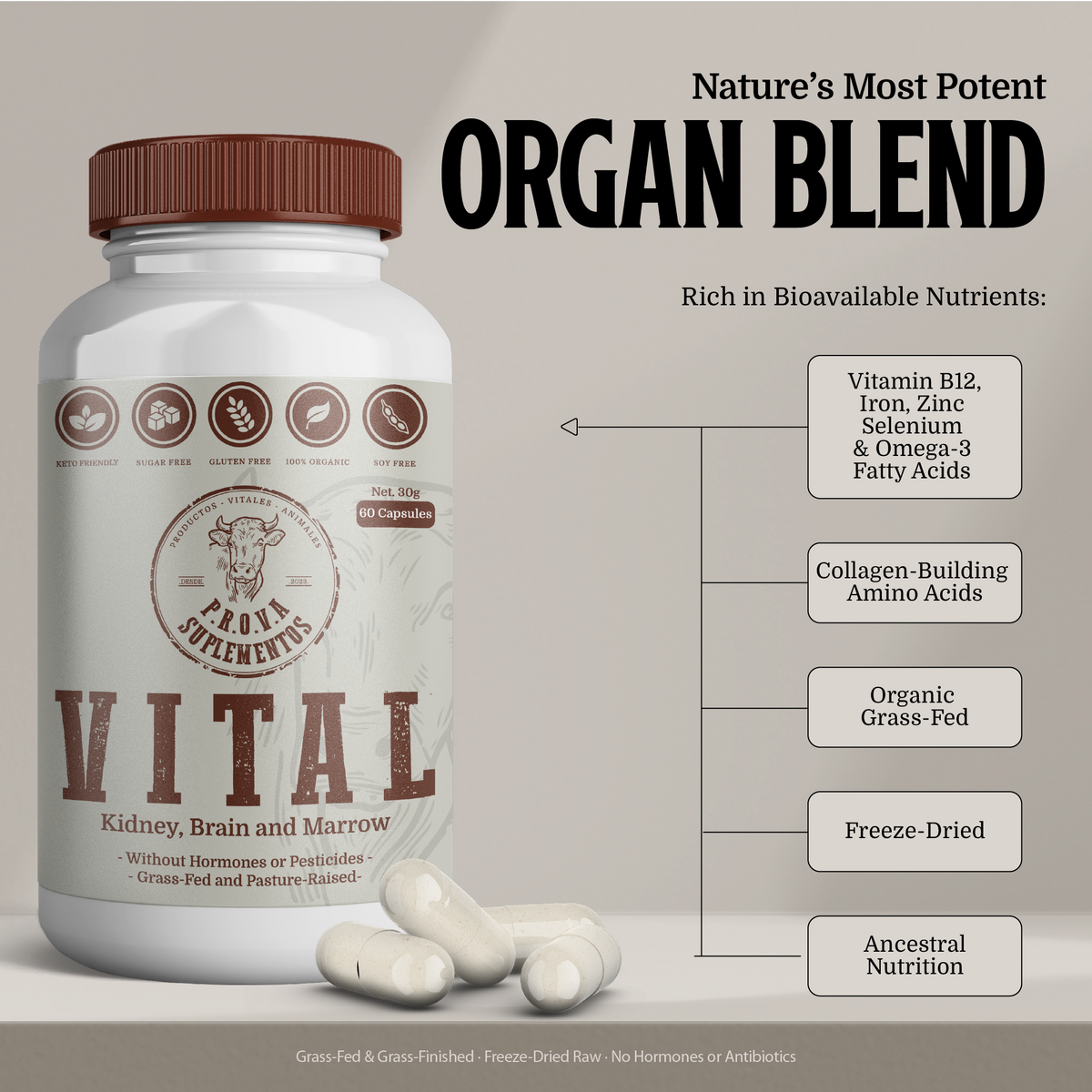 VITAL - Riñón, Sesos y Tuetano Deshidratado