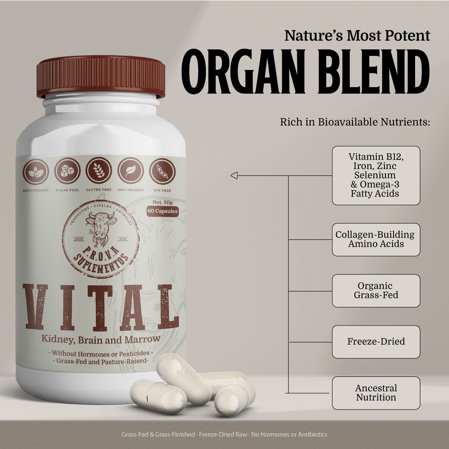 VITAL - Riñón, Sesos y Tuetano