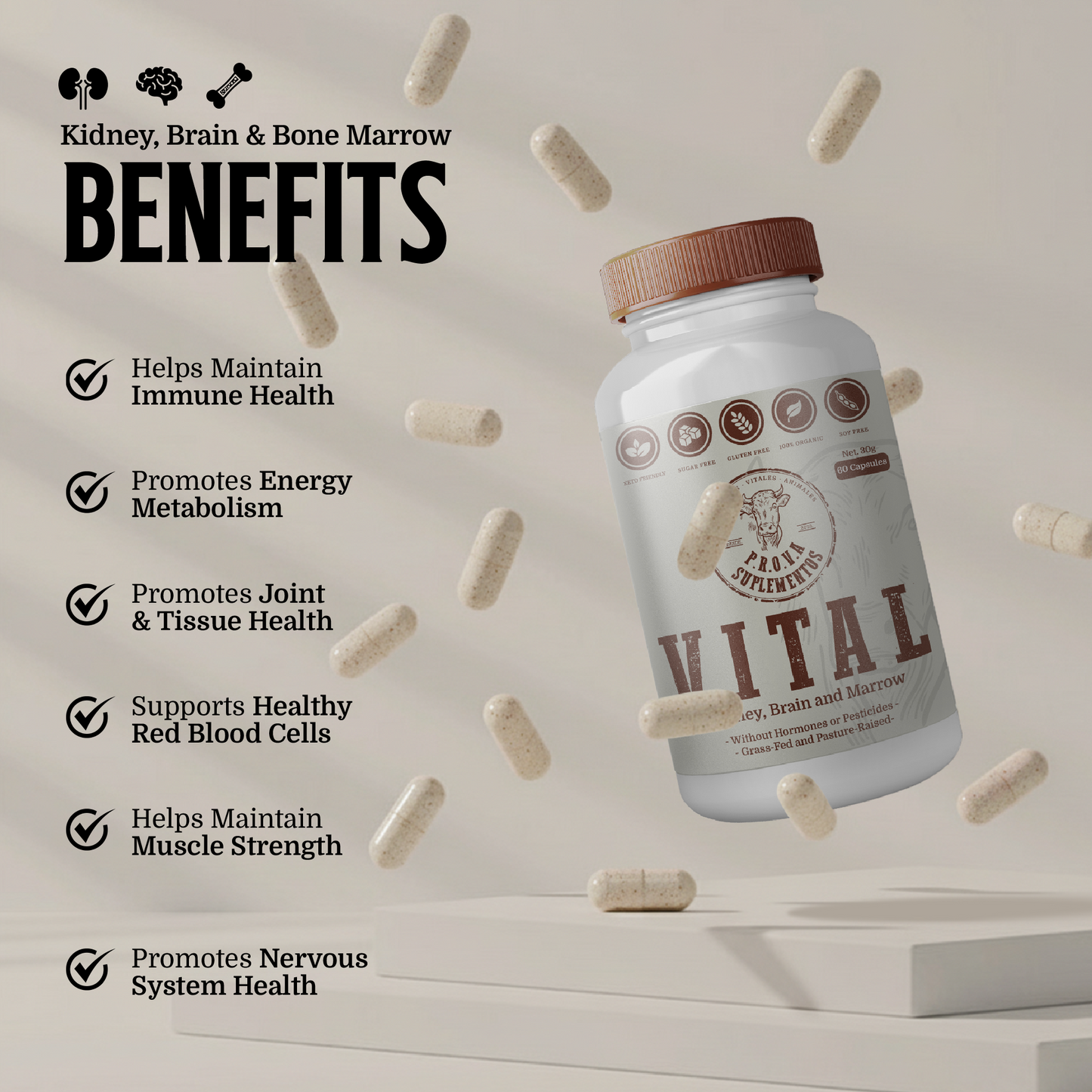 VITAL - Riñón, Sesos y Tuetano