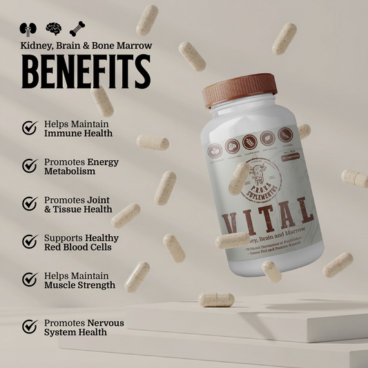 VITAL - Riñón, Sesos y Tuetano Deshidratado